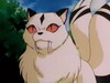 Kirara, a h trs